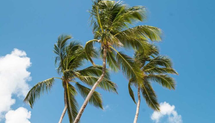 destination republique dominicaine