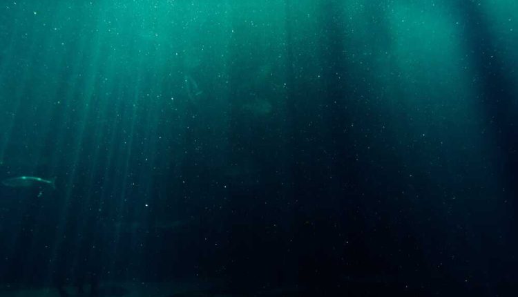 poissons-abysses